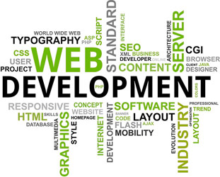 Website Development India